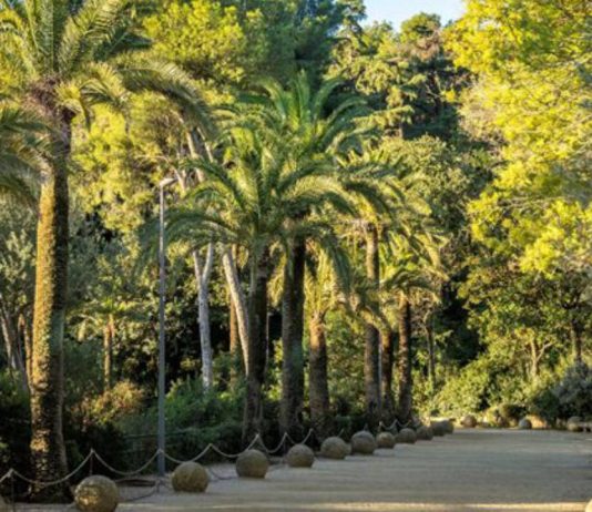 El Park Güell se renueva con más luz y mejoras de seguridad en sus recorridos El Park Güell se renueva con más luz y mejoras de seguridad en sus recorridos