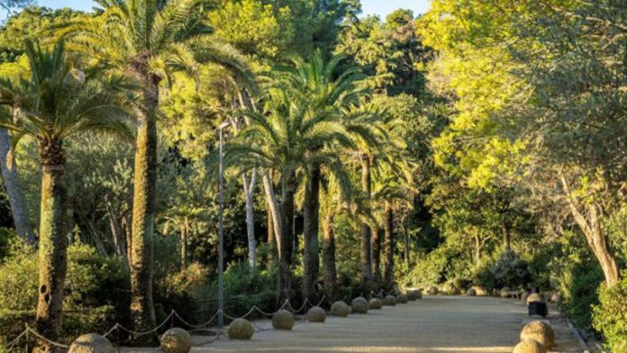 El Park Güell se renueva con más luz y mejoras de seguridad en sus recorridos