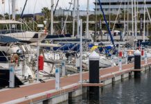 El Port Olímpic finaliza la renovación de los pantalanes El Port Olímpic finaliza la renovación de los pantalanes