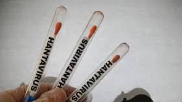 Claves del hantavirus: origen, síntomas y formas de contagio