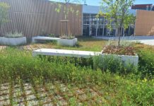 Barcelona impulsa un nuevo Punto Verde en la Marina para reforzar el reciclaje Barcelona impulsa un nuevo Punto Verde en la Marina para reforzar el reciclaje