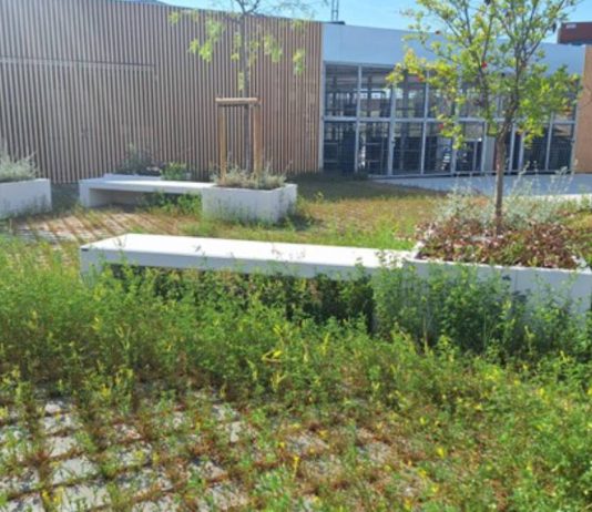 Barcelona impulsa un nuevo Punto Verde en la Marina para reforzar el reciclaje Barcelona impulsa un nuevo Punto Verde en la Marina para reforzar el reciclaje