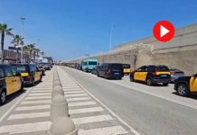 Caos en el Puerto de Cruceros: los pasajeros tienen que ir andando hasta Drassanes Caos en el Puerto de Cruceros los pasajeros tienen que ir andando hasta Colón