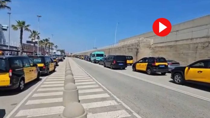 Caos en el Puerto de Cruceros los pasajeros tienen que ir andando hasta Colón