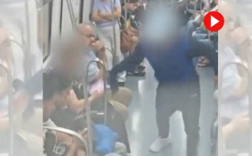 Detenido un ladrón especializado en robos de móviles en el metro de Badal Detenido un ladrón especializado en robos de móviles en el metro de Badal