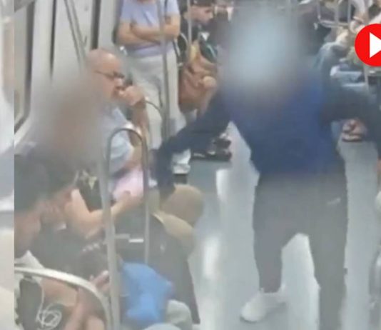 Detenido un ladrón especializado en robos de móviles en el metro de Badal Detenido un ladrón especializado en robos de móviles en el metro de Badal