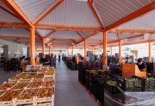 Mercabarna consolida su modelo sostenible con más actividad, proximidad y eficiencia Mercabarna consolida su modelo sostenible con más actividad, proximidad y eficiencia