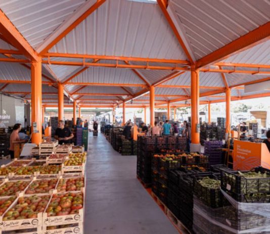 Mercabarna consolida su modelo sostenible con más actividad, proximidad y eficiencia Mercabarna consolida su modelo sostenible con más actividad, proximidad y eficiencia