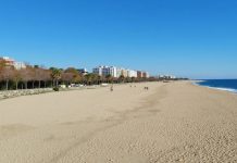 Muere un hombre ahogado en la playa de Sant Miquel Muere un hombre ahogado en la playa de Sant Miquel