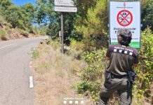 Barcelona en el nivel 3 del plan Alfa por riesgo de incendios forestales Barcelona en el nivel 3 del plan Alfa por riesgo de incendios forestales