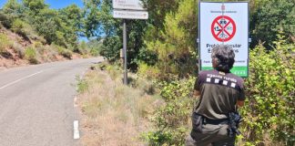 Barcelona en el nivel 3 del plan Alfa por riesgo de incendios forestales Barcelona en el nivel 3 del plan Alfa por riesgo de incendios forestales