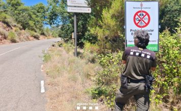 Barcelona en el nivel 3 del plan Alfa por riesgo de incendios forestales Barcelona en el nivel 3 del plan Alfa por riesgo de incendios forestales
