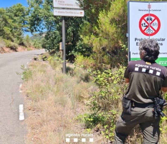 Barcelona en el nivel 3 del plan Alfa por riesgo de incendios forestales Barcelona en el nivel 3 del plan Alfa por riesgo de incendios forestales
