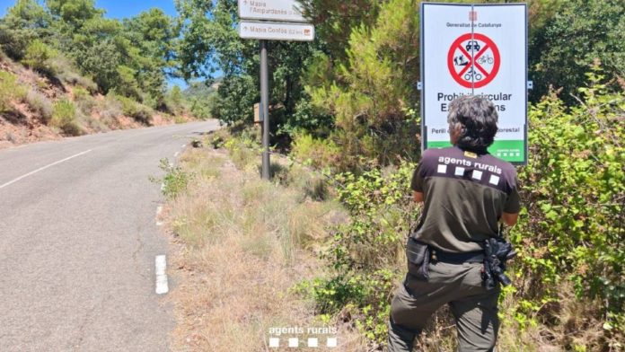 Barcelona en el nivel 3 del plan Alfa por riesgo de incendios forestales
