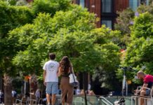 Barcelona prepara un nuevo sistema de mantenimiento urbano con el doble de inversión Barcelona prepara un nuevo sistema de mantenimiento urbano con el doble de inversión