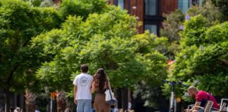 Barcelona prepara un nuevo sistema de mantenimiento urbano con el doble de inversión Barcelona prepara un nuevo sistema de mantenimiento urbano con el doble de inversión