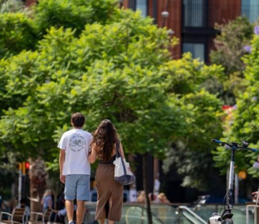 Barcelona prepara un nuevo sistema de mantenimiento urbano con el doble de inversión Barcelona prepara un nuevo sistema de mantenimiento urbano con el doble de inversión