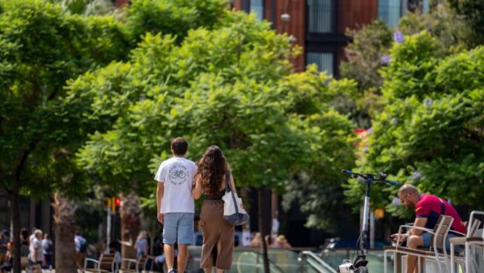 Barcelona prepara un nuevo sistema de mantenimiento urbano con el doble de inversión Barcelona prepara un nuevo sistema de mantenimiento urbano con el doble de inversión