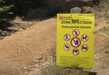 El Laberinto de Horta sigue precintado por la peste porcina