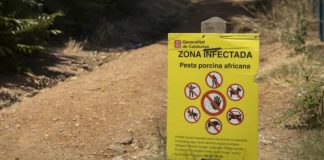 El Laberinto de Horta sigue precintado por la peste porcina