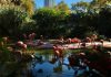 El Zoo de Barcelona avanza en el proyecto Bioscope con cinco equipos finalistas El Zoo de Barcelona avanza en el proyecto Bioscope con cinco equipos finalistas