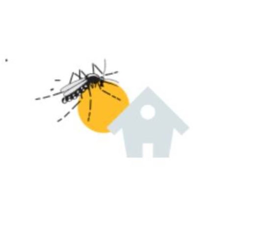 Mosquito tigre y enfermedades: cómo protegerse del dengue, el chikungunya y el Zika Mosquito tigre y enfermedades: cómo protegerse del dengue, el chikungunya y el Zika