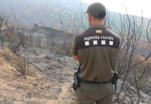 Un detenido acusado de causar tres incendios forestales en El Prat de Llobregat Un detenido acusado de causar tres incendios forestales en El Prat de Llobregat