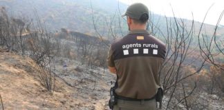 Un detenido acusado de causar tres incendios forestales en El Prat de Llobregat Un detenido acusado de causar tres incendios forestales en El Prat de Llobregat