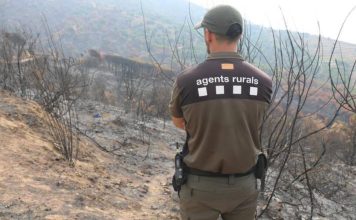 Un detenido acusado de causar tres incendios forestales en El Prat de Llobregat Un detenido acusado de causar tres incendios forestales en El Prat de Llobregat