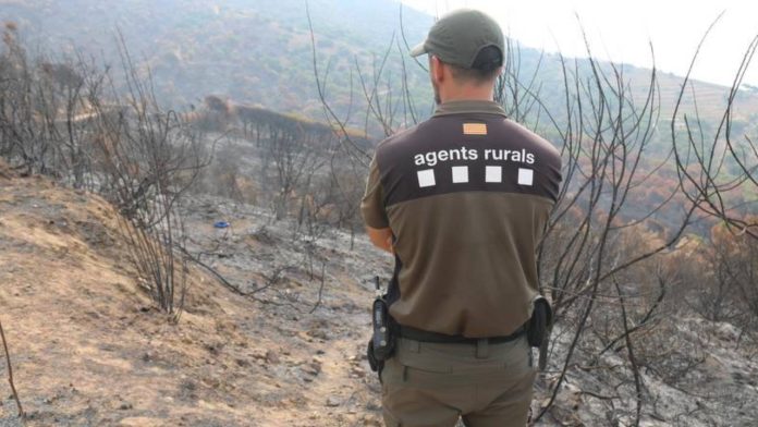 Un detenido acusado de causar tres incendios forestales en El Prat de Llobregat