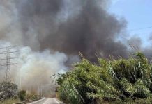 Un incendio en El Prat de Llobregat obliga a restringir el tráfico en la ronda de Dalt Un incendio en El Prat de Llobregat obliga a restringir el tráfico en la ronda de Dalt