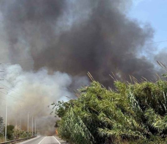 Un incendio en El Prat de Llobregat obliga a restringir el tráfico en la ronda de Dalt Un incendio en El Prat de Llobregat obliga a restringir el tráfico en la ronda de Dalt