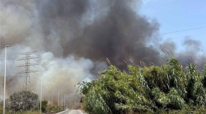 Un incendio en El Prat de Llobregat obliga a restringir el tráfico en la ronda de Dalt Un incendio en El Prat de Llobregat obliga a restringir el tráfico en la ronda de Dalt