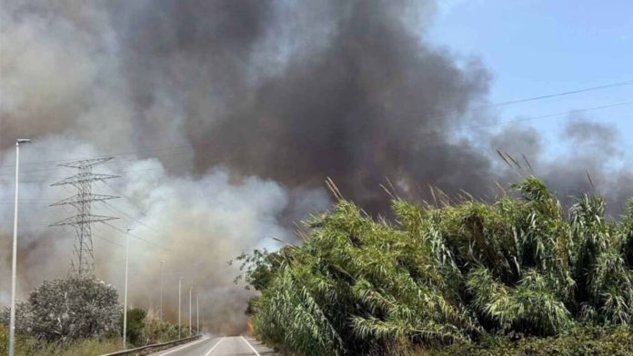 Un incendio en El Prat de Llobregat obliga a restringir el tráfico en la ronda de Dalt Un incendio en El Prat de Llobregat obliga a restringir el tráfico en la ronda de Dalt