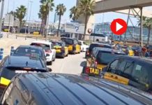 Vuelve el caos al puerto de Barcelona con largas colas de taxis para acceder Vuelve el caos al puerto de Barcelona con largas colas de taxis para acceder