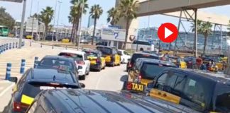 Vuelve el caos al puerto de Barcelona con largas colas de taxis para acceder Vuelve el caos al puerto de Barcelona con largas colas de taxis para acceder