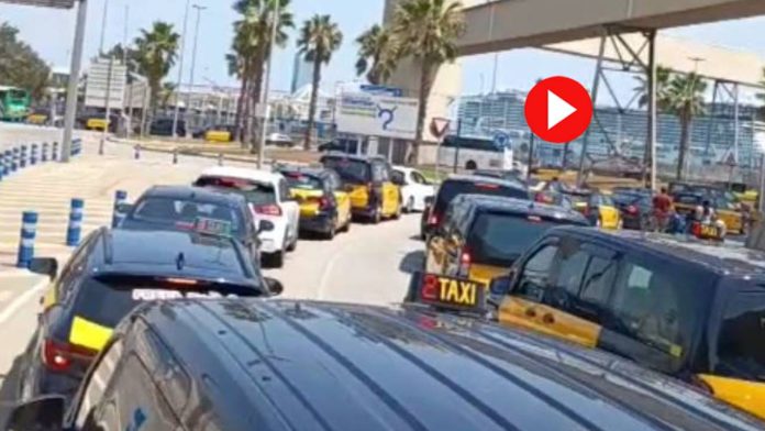 Vuelve el caos al puerto de Barcelona con largas colas de taxis para acceder