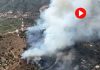 VÍDEO | Así se ve desde el aire el incendio forestal de Collserola Así se ve desde el aire el incendio forestal de Collserola