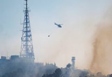 Barcelona desactiva el plan municipal por incendios tras el fuego en Collserola Barcelona desactiva el plan municipal por incendios tras el fuego en Collserola