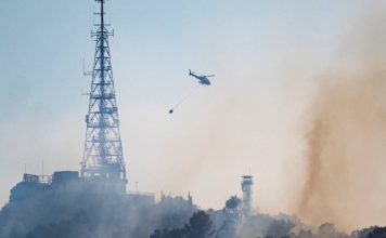 Barcelona desactiva el plan municipal por incendios tras el fuego en Collserola Barcelona desactiva el plan municipal por incendios tras el fuego en Collserola