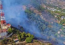 Estabilizado el incendio forestal de Collserola tras quemar 10 hectáreas Estabilizado el incendio forestal de Collserola tras quemar 10 hectáreas