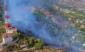 Estabilizado el incendio forestal de Collserola tras quemar 10 hectáreas Estabilizado el incendio forestal de Collserola tras quemar 10 hectáreas