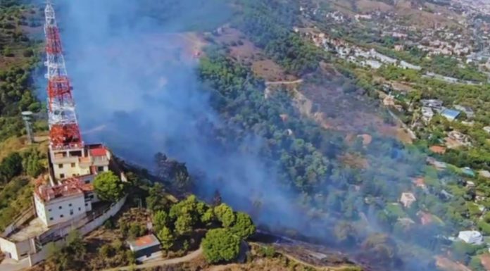 Estabilizado el incendio forestal de Collserola tras quemar 10 hectáreas Estabilizado el incendio forestal de Collserola tras quemar 10 hectáreas
