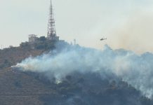 Incendio forestal en Collserola: 21 dotaciones trabajan en Sant Pere Màrtir Incendio forestal en Collserola: 21 dotaciones trabajan en Sant Pere Màrtir