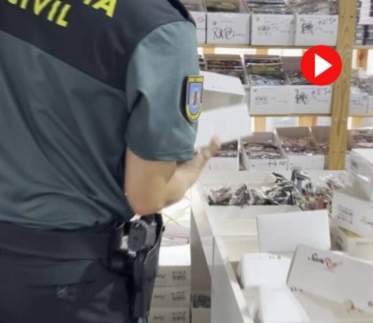 Intervienen en Badalona 40.600 gafas de sol falsificadas Intervienen en Badalona 40.600 gafas de sol falsificadas