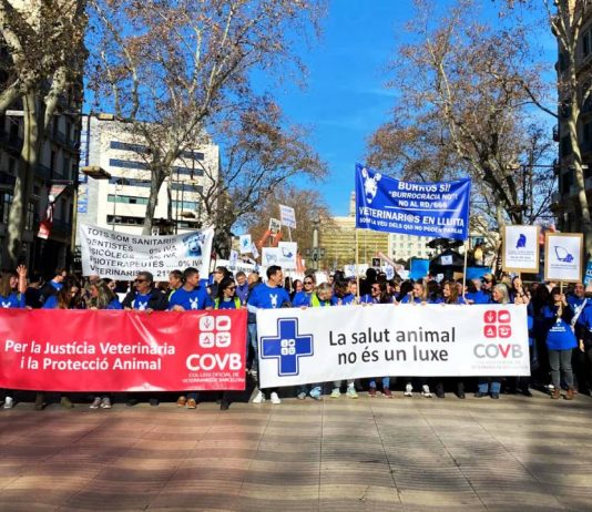 Protesta de veterinarios en Barcelona el 19 de septiembre Protesta de veterinarios en Barcelona el 19 de septiembre