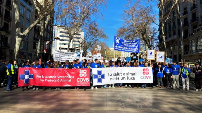 Protesta de veterinarios en Barcelona el 19 de septiembre