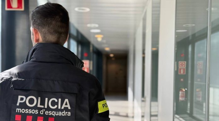 Cuatro detenidos por 72 robos en empresas de Informática Cuatro detenidos por 72 robos en empresas de Informática