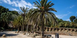 El Park Güell renueva su alumbrado y amplía el Wi-Fi El Park Güell renueva su alumbrado y amplía el Wi-Fi