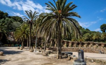 El Park Güell renueva su alumbrado y amplía el Wi-Fi El Park Güell renueva su alumbrado y amplía el Wi-Fi